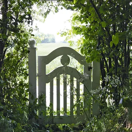 Hébergement de vacances Cottage, Steam Damp