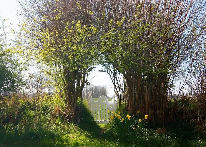 Cottage, Steam Dom wakacyjny